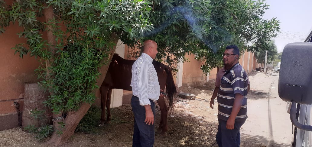 حملات بيئية وتفتيشية لضبط المخالفات والمرور على محلات الجزارة بمدينة الأقصر (7)