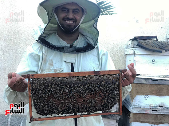 مشروع--ناجح مشروع--ناجح