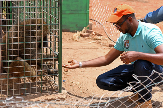 مركز إنقاذ الحيوانات فى السودان