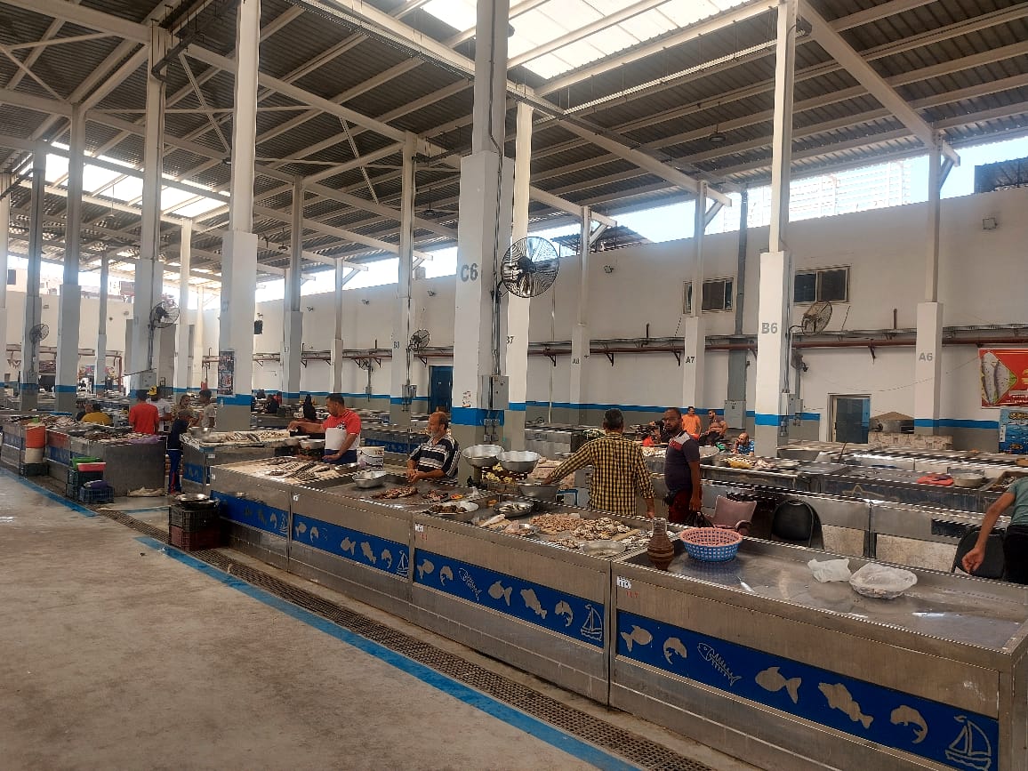 سوق سمك الإسماعيلية (1)