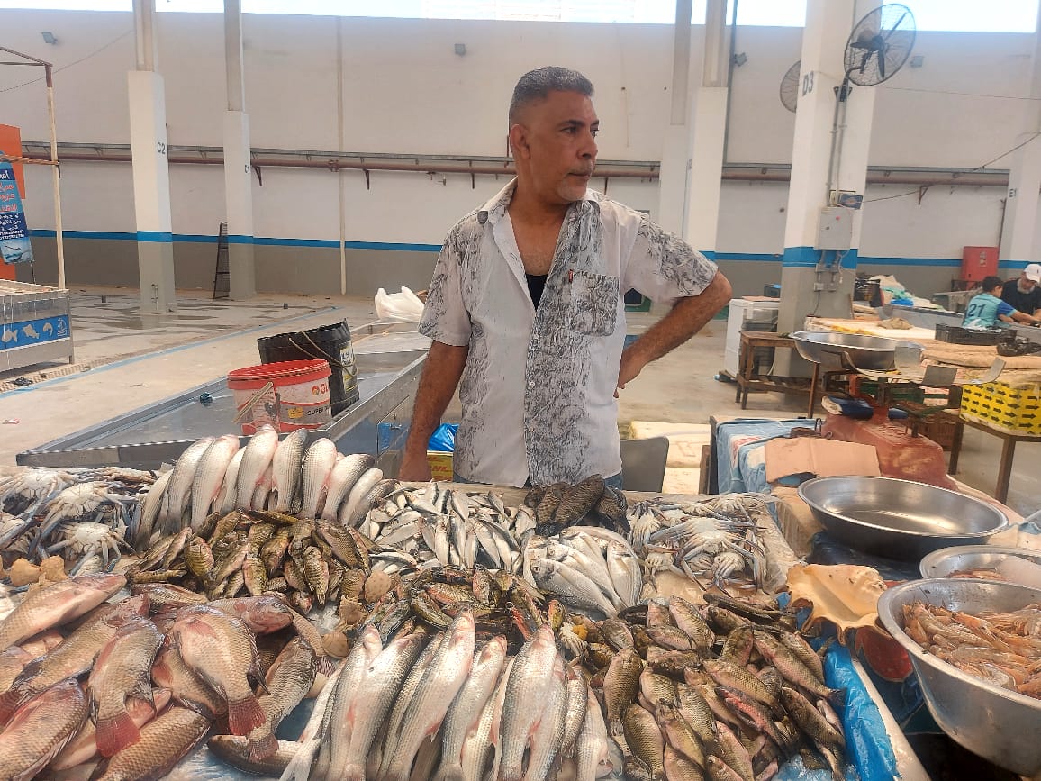 سوق سمك الإسماعيلية (5)