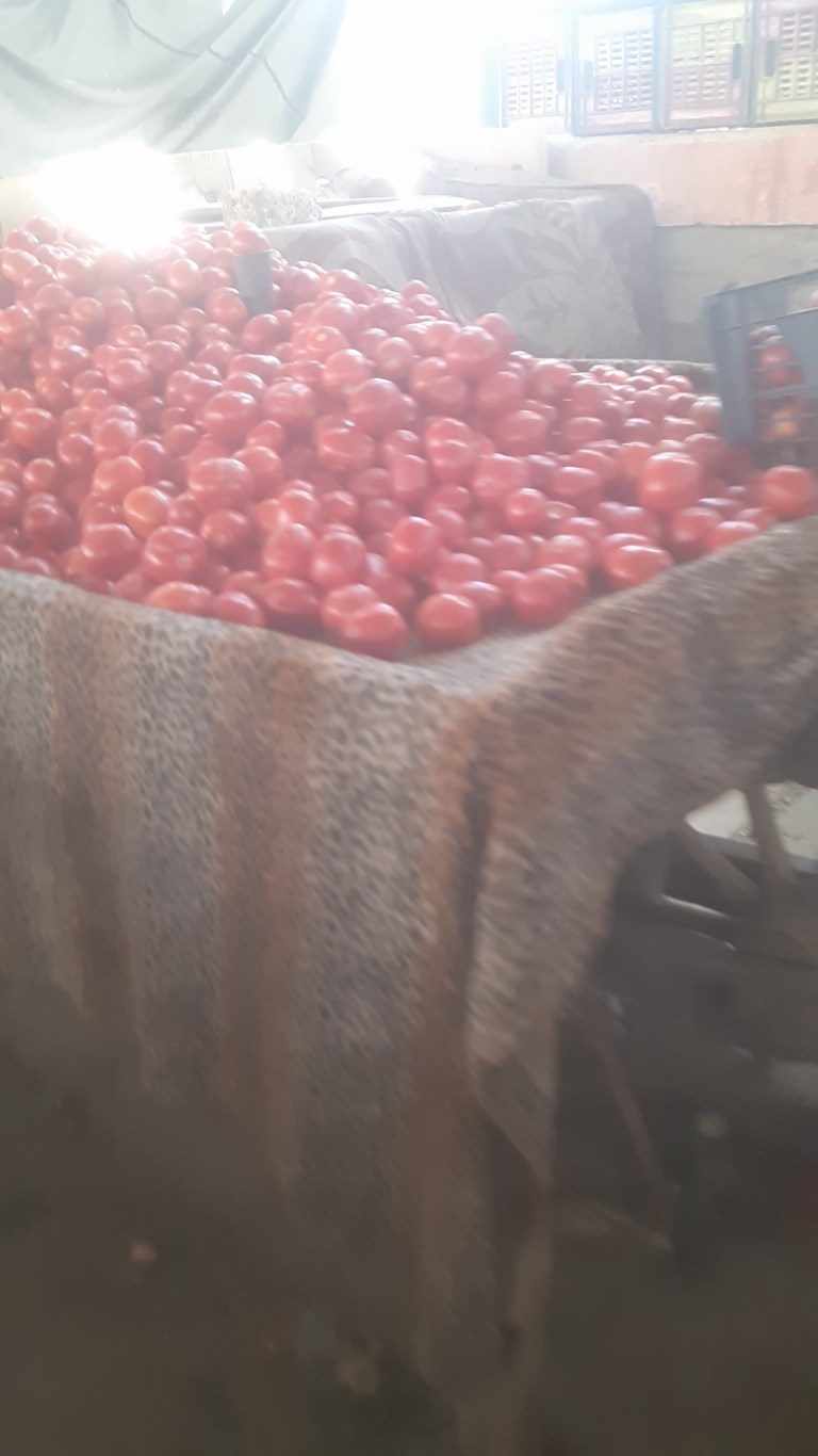  سوق الخضر والفاكهة بمنطقة السيل (7)