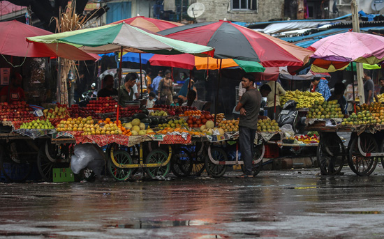 حماية الفواكه والخضروات من الأمطار