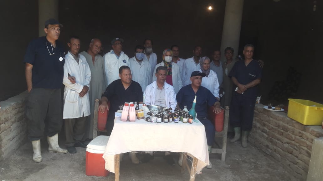 تقديم العلاج وفحص 647 حيوان فى قافلة بيطرية بقرية القليعي  (4)