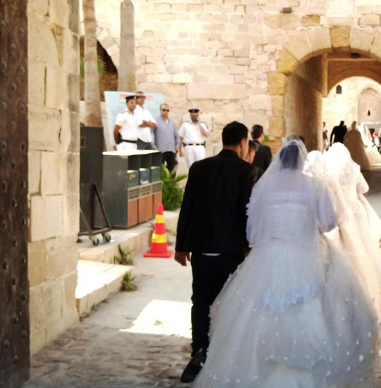 زفاف جماعى بقلعة قايتباى فى الإسكندرية (12)