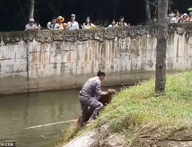 حارس الحديقة ينقذ انسان غاب من الغرق