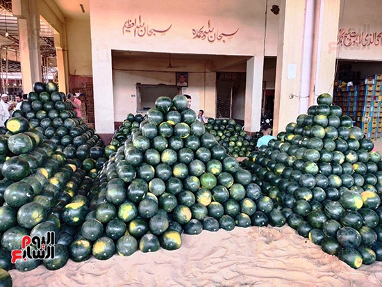 أهرامات البطيخ فى القليوبية