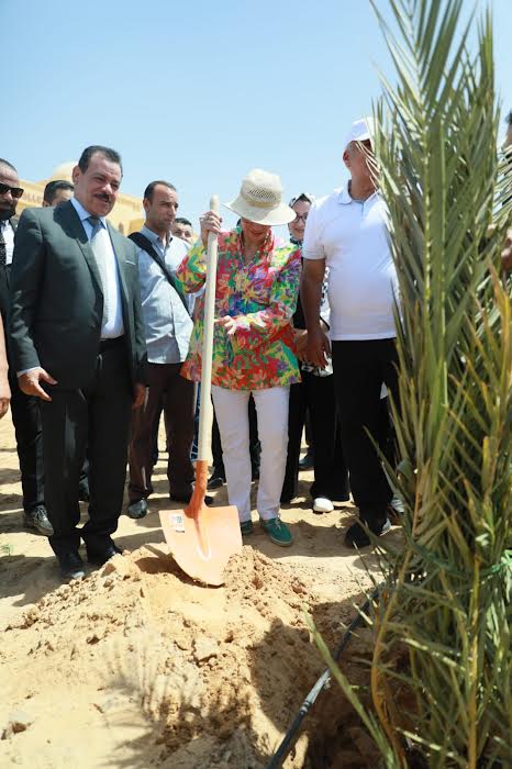 وزيرة البيئة تزرع نخلة بحديقة 30 يونيو