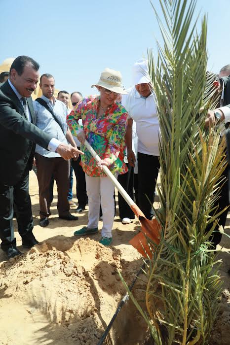 وزيرة البيئة تزرع نخلة بحديقة 30 يونيو في الخارجة