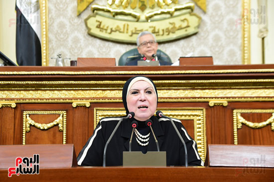 الجلسة العامة بمجلس النواب (15)