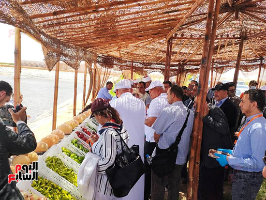 وزيرة-البيئة-تتفقد-الوادي-الجديد