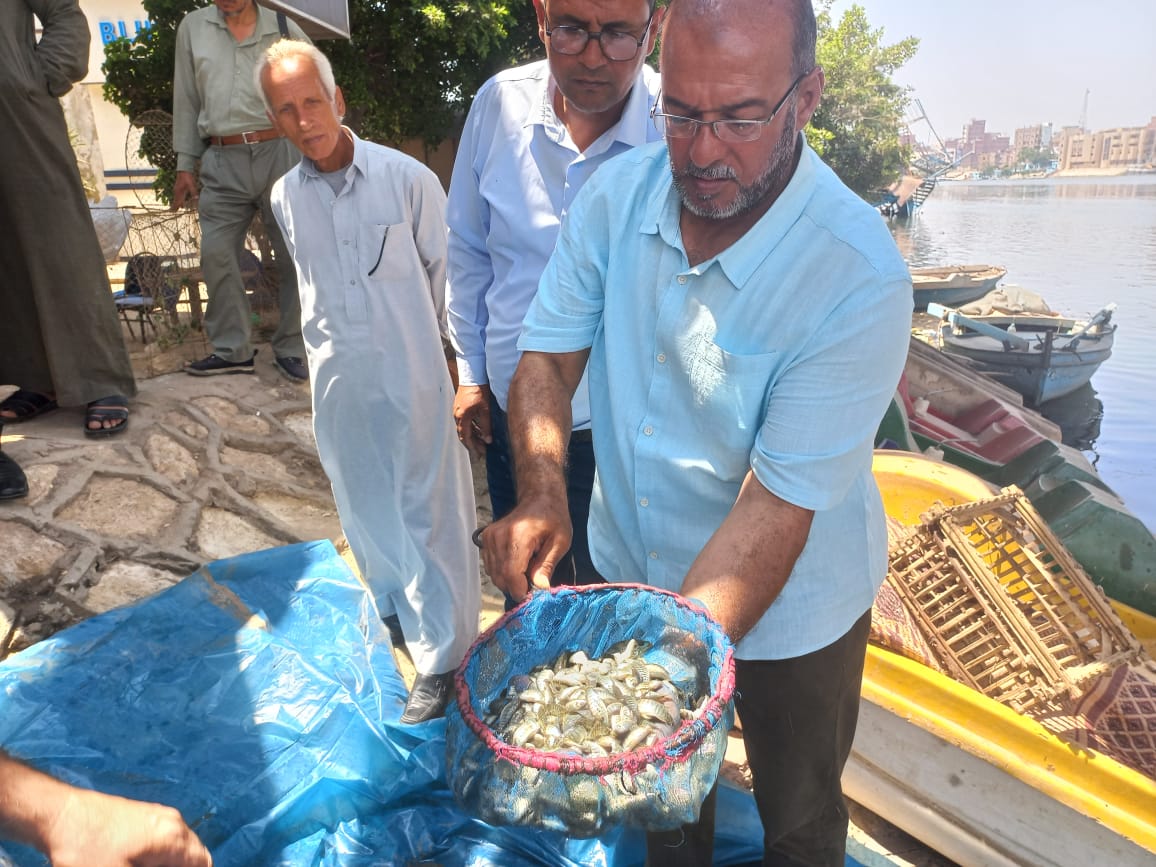 إلقاء 500 ألف ذريعة من سمك البلطي بنهر النيل بالدقهلية (2)