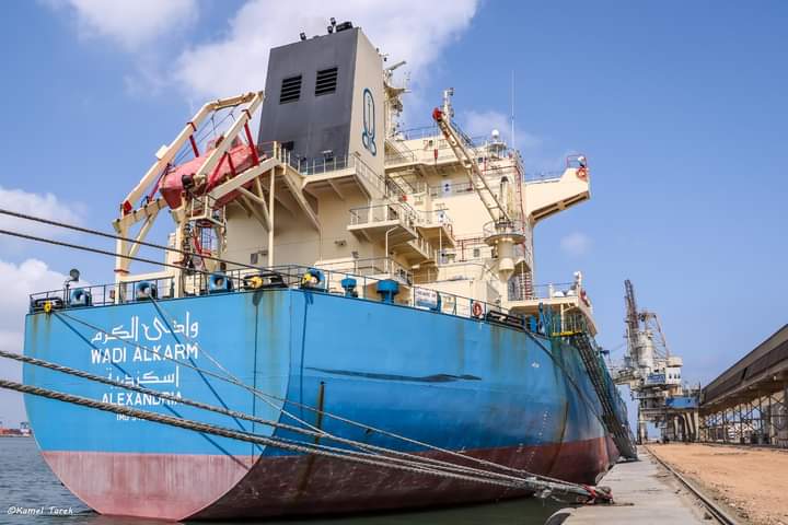 وصول سفينتين محملين بالقمح (2)