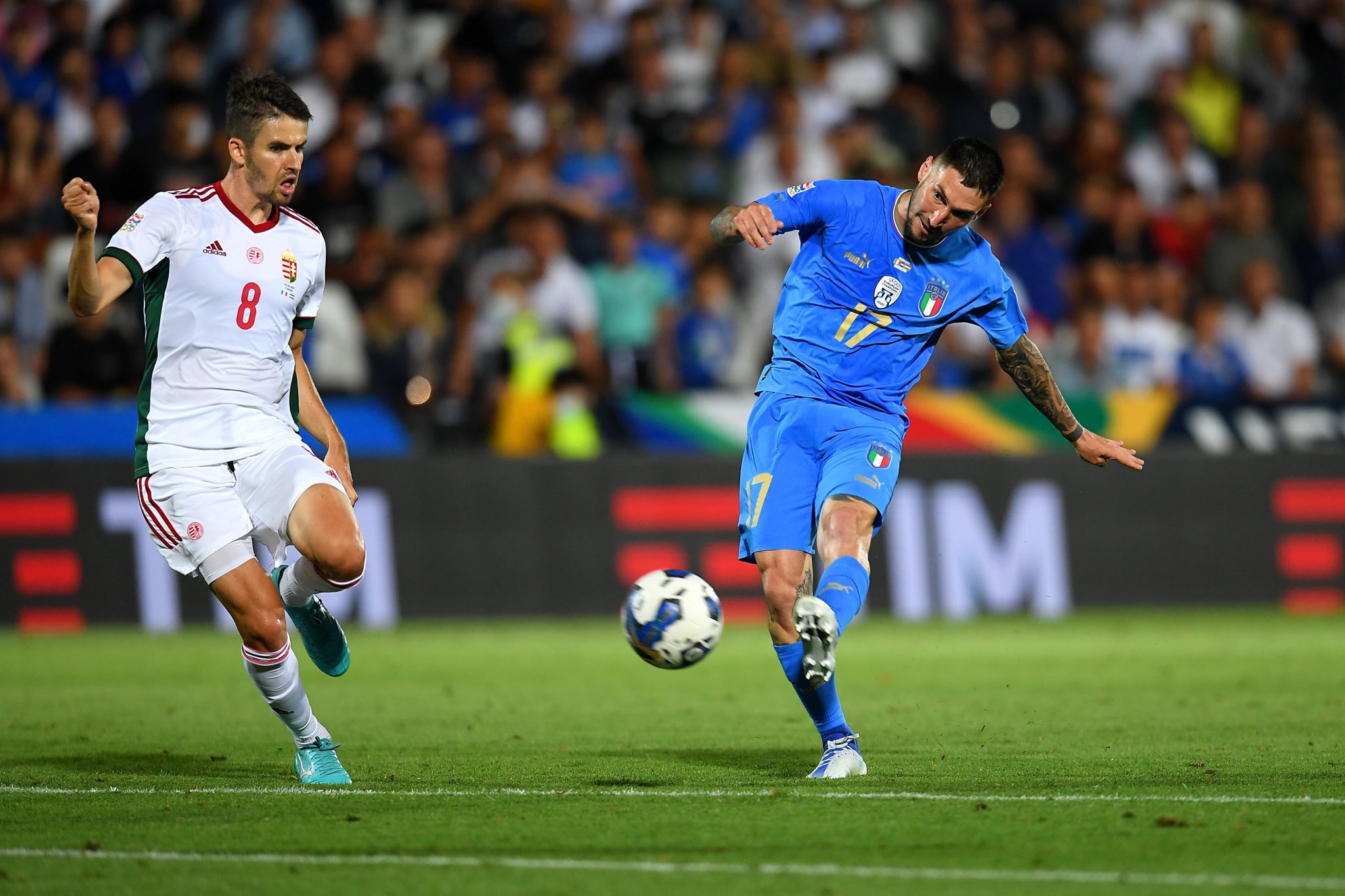 إيطاليا ضد المجر (12)