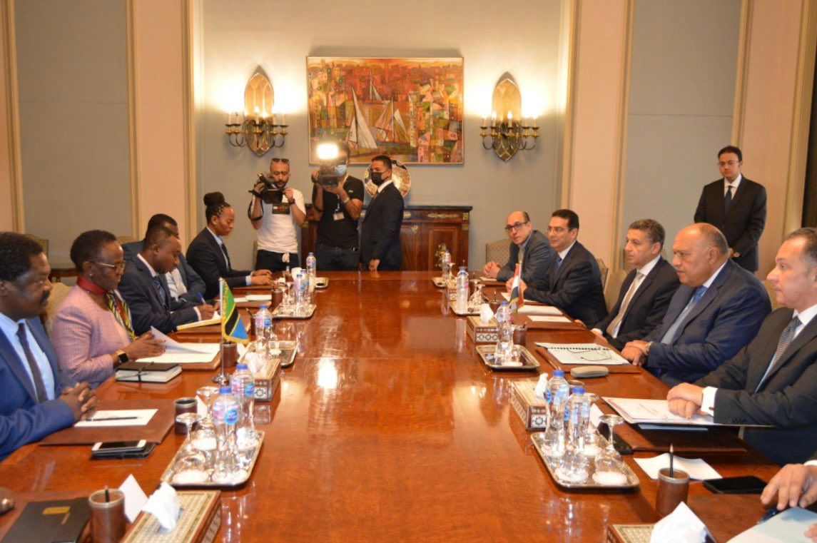 وزير الخارجية سامح شكرى