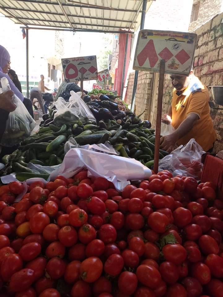 سعر الطماطم 8 جنيه