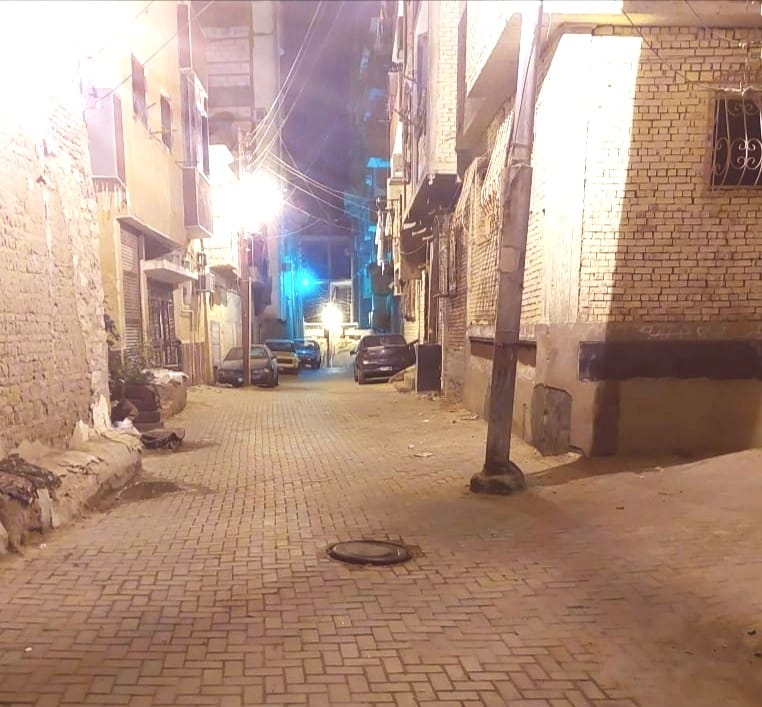 أعمال التطوير والتجميل والرصف بشوارع وسط مدينة اسوان (3)