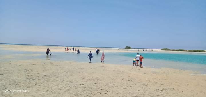 رحلات بشكل متكرر رحلات بشكل متكرر