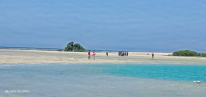 أكثر المناطق السياحية زيارة بمرسى علم أكثر المناطق السياحية زيارة بمرسى علم