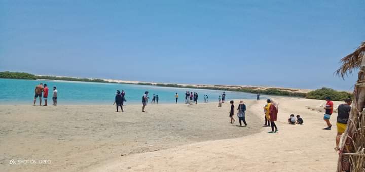 أجمل مناطق البيئة البحرية أجمل مناطق البيئة البحرية