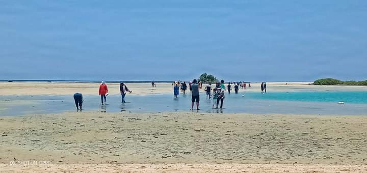 رحلات شبابية وعائلية بالقلعان رحلات شبابية وعائلية بالقلعان