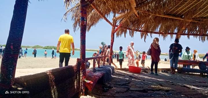 رحلات دورية من المحافظات المختلفة رحلات دورية من المحافظات المختلفة