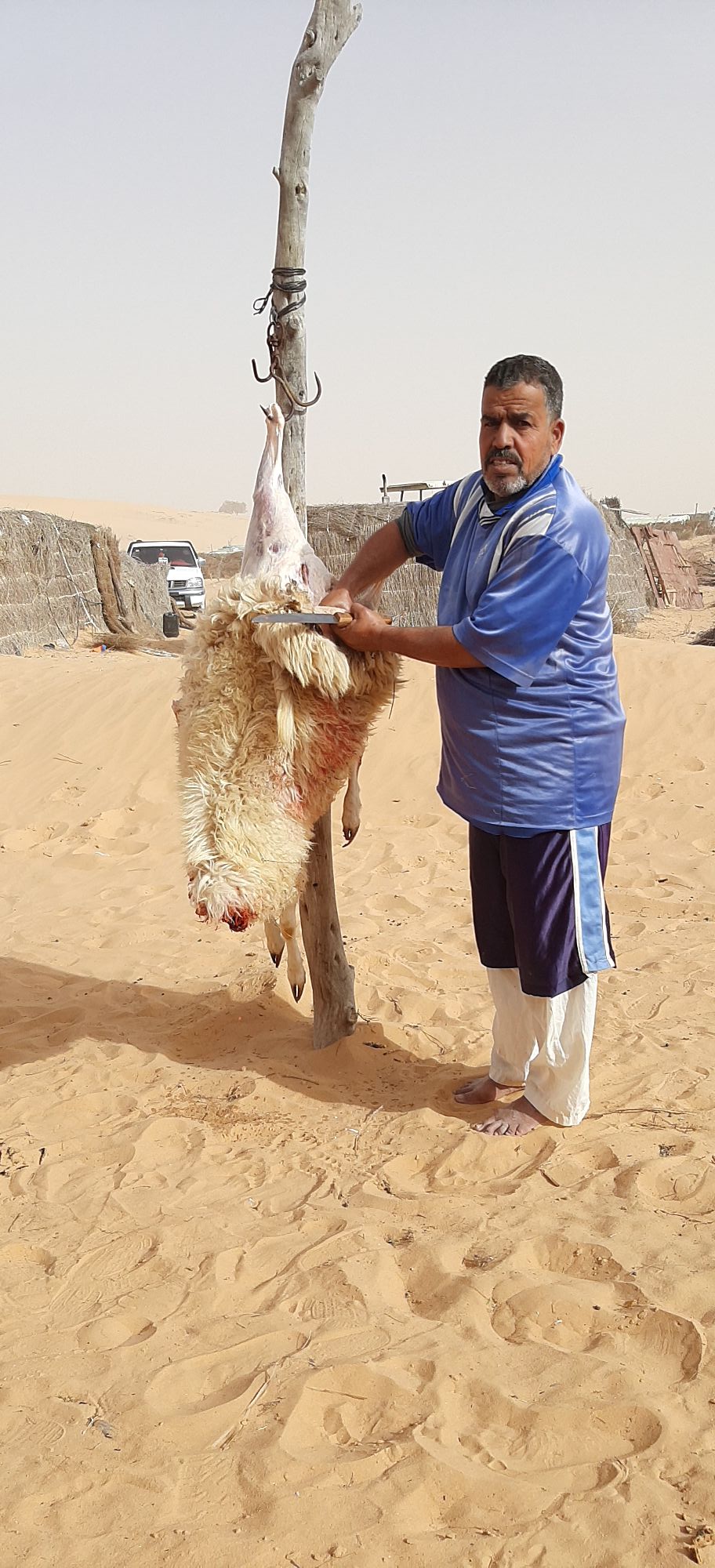 تقاليد عيد الأضحى عند بدو سيناء (3)