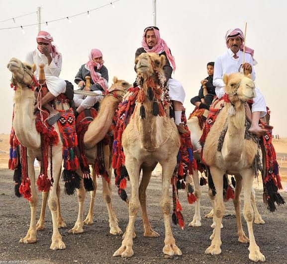تقاليد عيد الأضحى عند بدو سيناء (5)