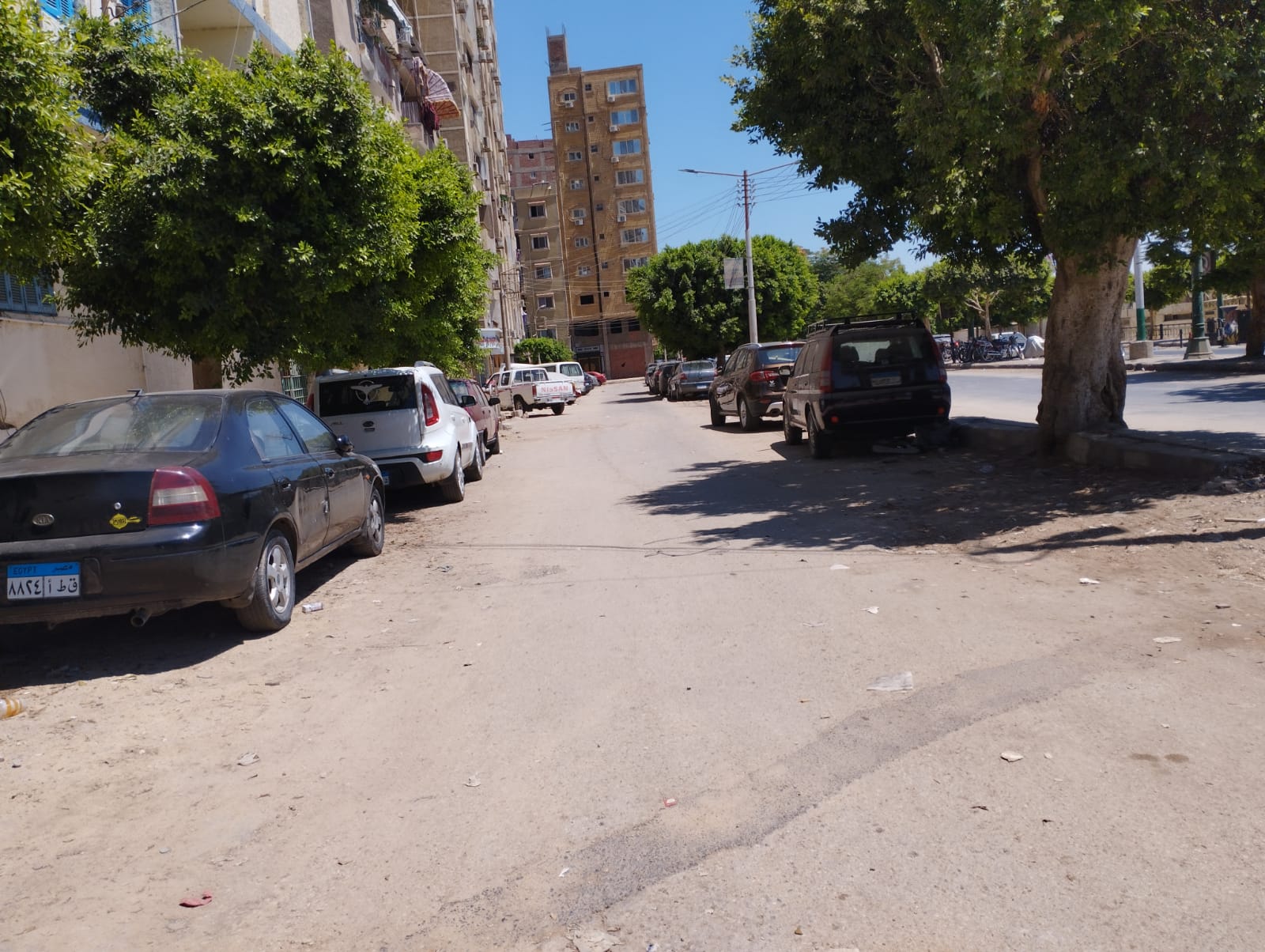 شوارع المنيا (1)