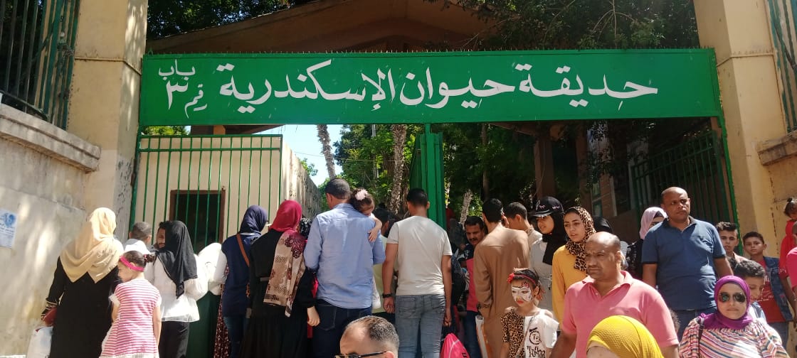 40 ألف زائر لحديقة حيوان الاسكندرية خلال عيد الأضحى  (4)