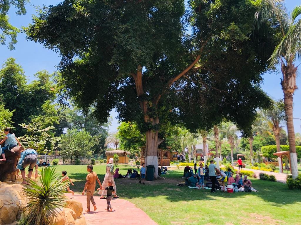 جانب من الإقبال على حدائق القناطر الخيرية جانب من الإقبال على حدائق القناطر الخيرية