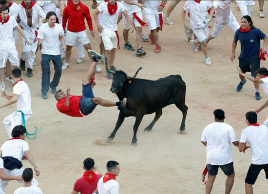 مصارعة الثيران فى إسبانيا (9)