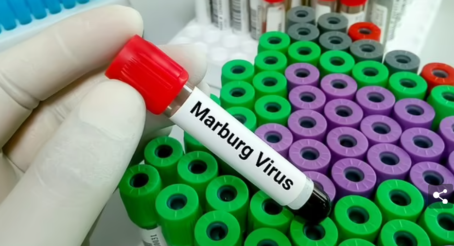 تحليل فيروس ماربرج