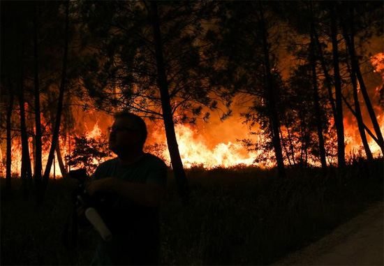 الغابات المحترقة