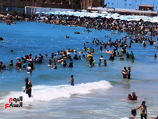 شواطئ-الإسكندرية-(1)