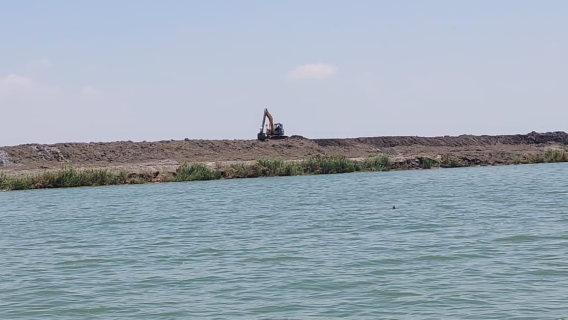 بحيرة المنزلة ببورسعيد