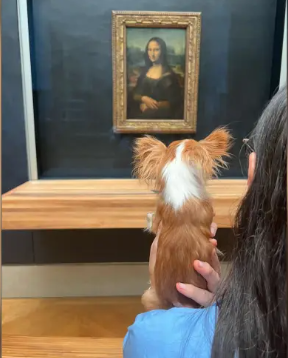 الكلب امام اللوحة