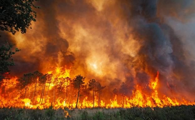 حرائق الغابات فى اوروبا