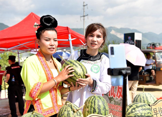 محصول البطيخ فى الصين (8)