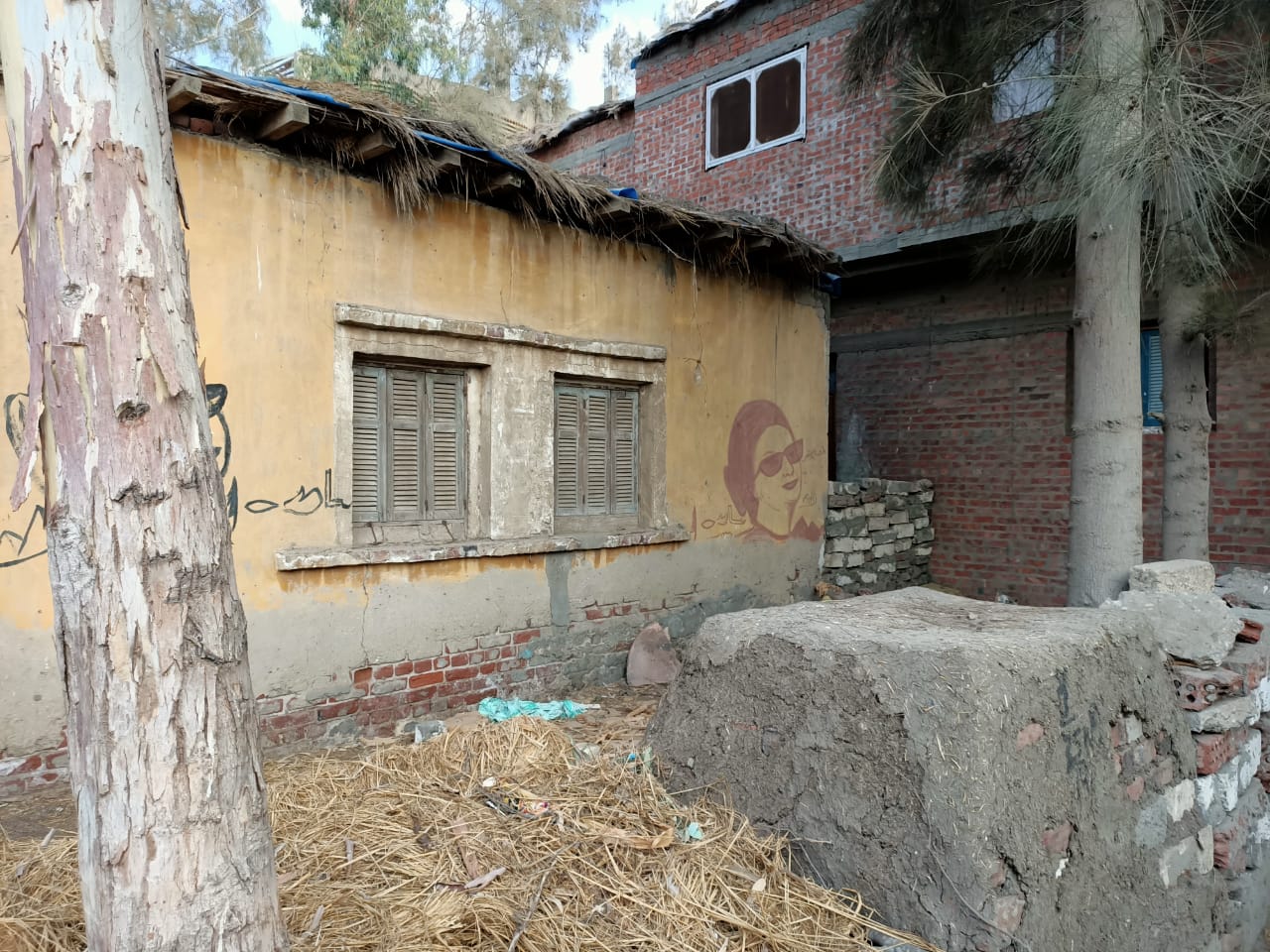 منزل أم كلثوم بالدقهلية  (5)