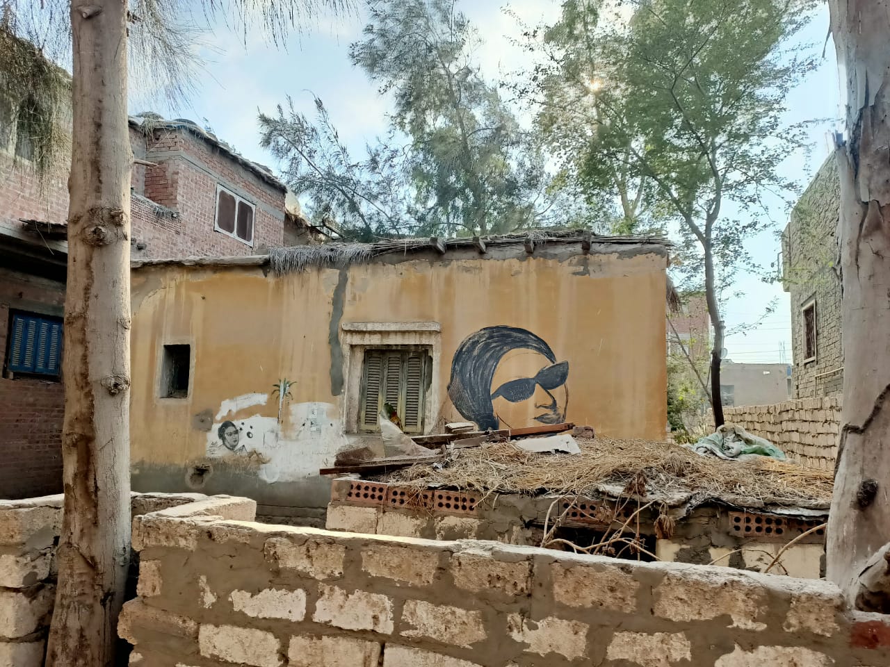 منزل أم كلثوم بالدقهلية  (9)