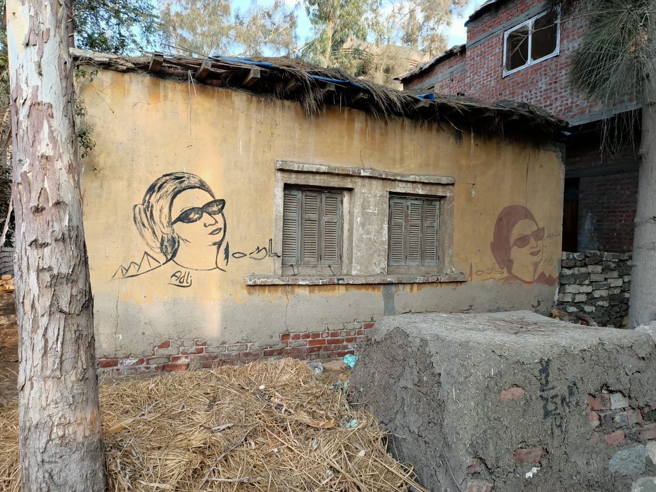 منزل أم كلثوم بالدقهلية  (3)