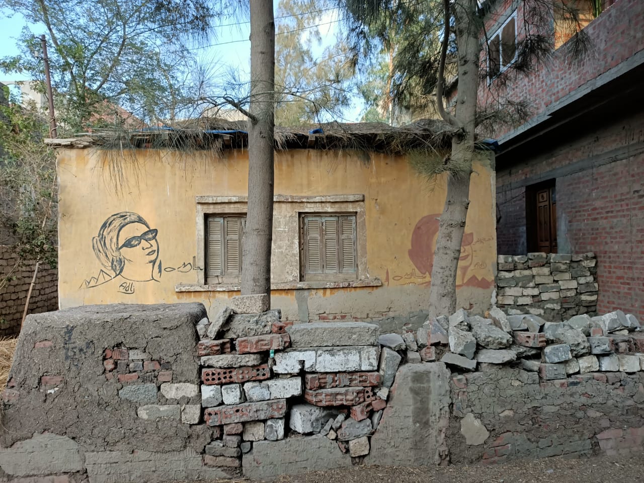 منزل أم كلثوم بالدقهلية  (2)