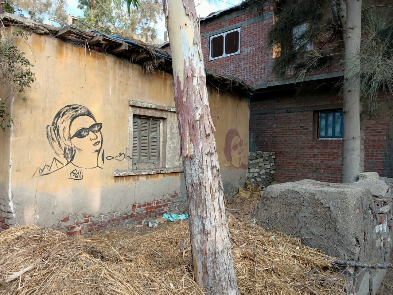 منزل أم كلثوم بالدقهلية  (6)