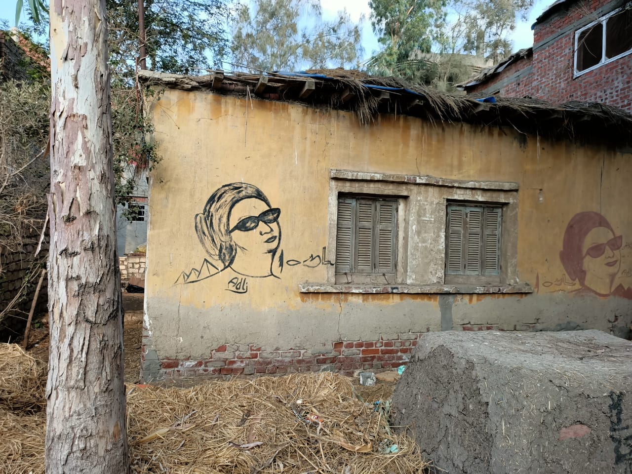 منزل أم كلثوم بالدقهلية  (4)