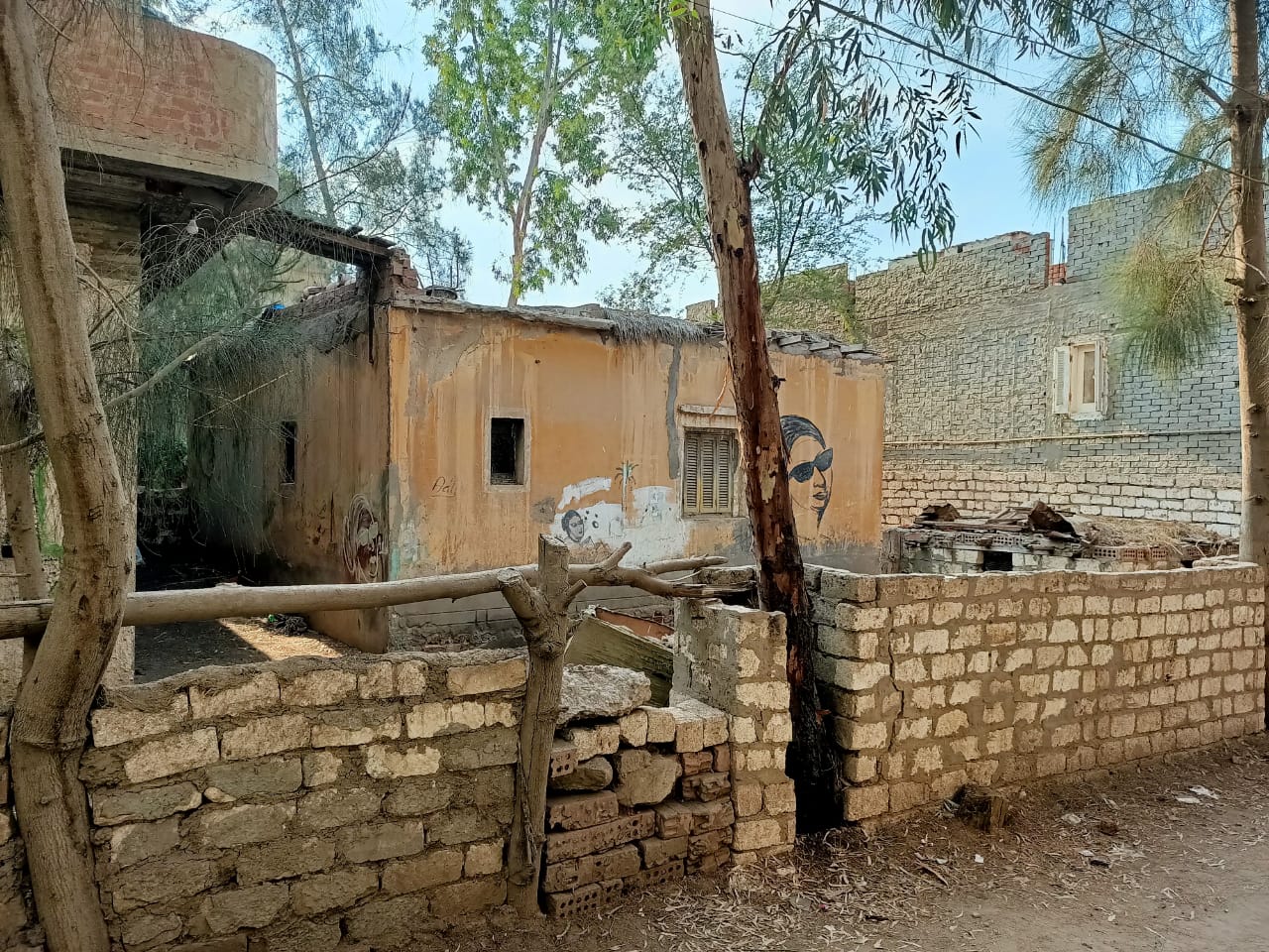 منزل أم كلثوم بالدقهلية  (8)