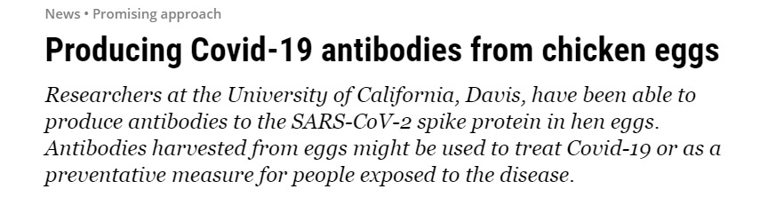 فريق أمريكى ينجح فى إنتاج أجسام مضادة لفيروس كورونا من بيض الدجاج