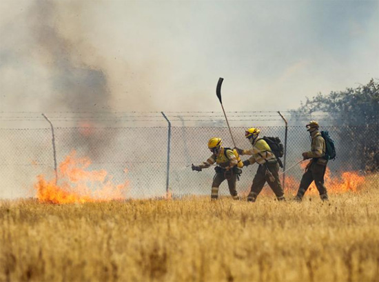 الحرائق تهدد حقول القمح