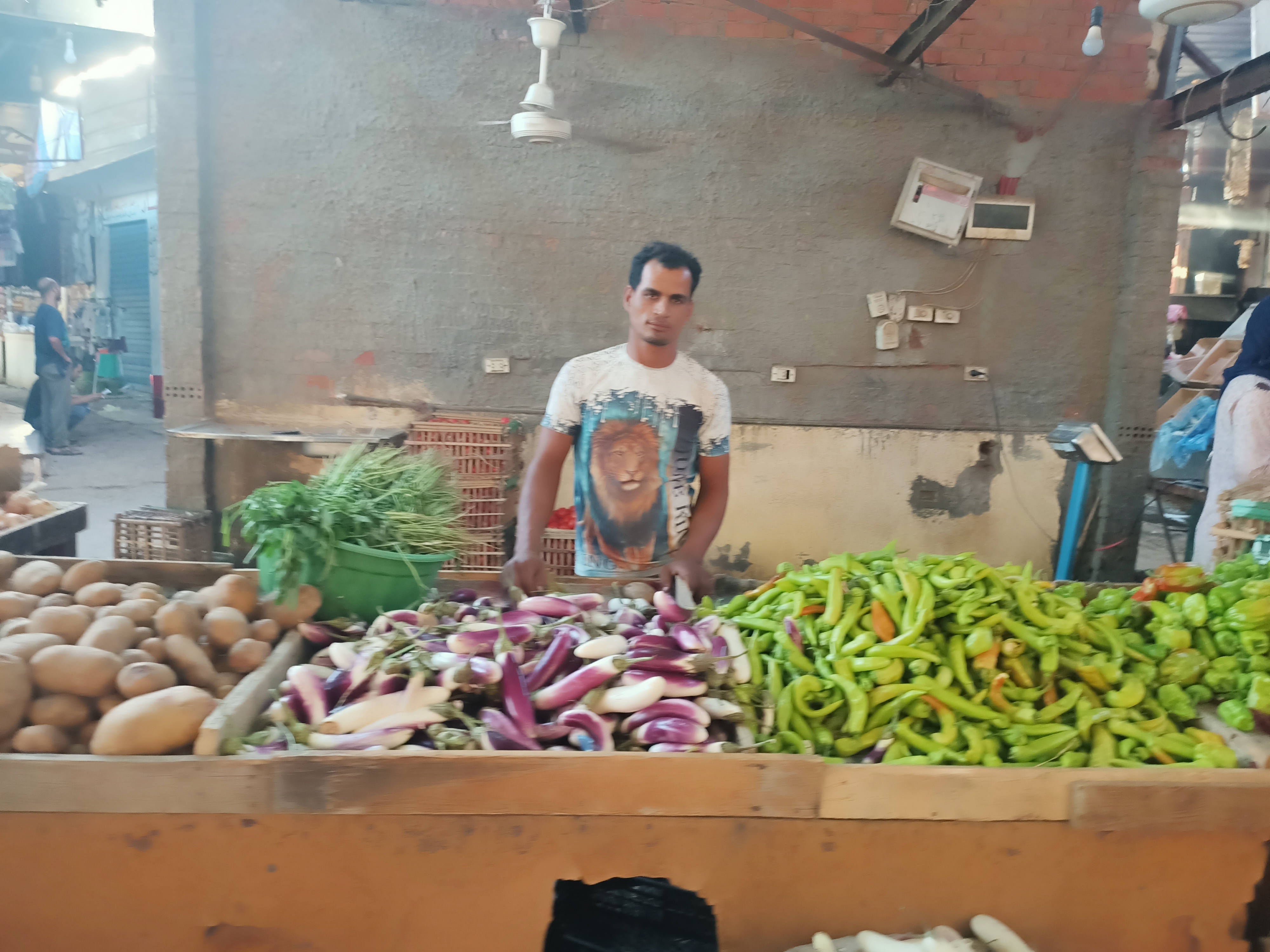  أسعار الدواجن والخضروات والفاكهة فى المنوفية (1)