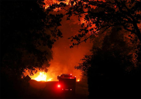 حرائق الغابات فى كاليفورنيا